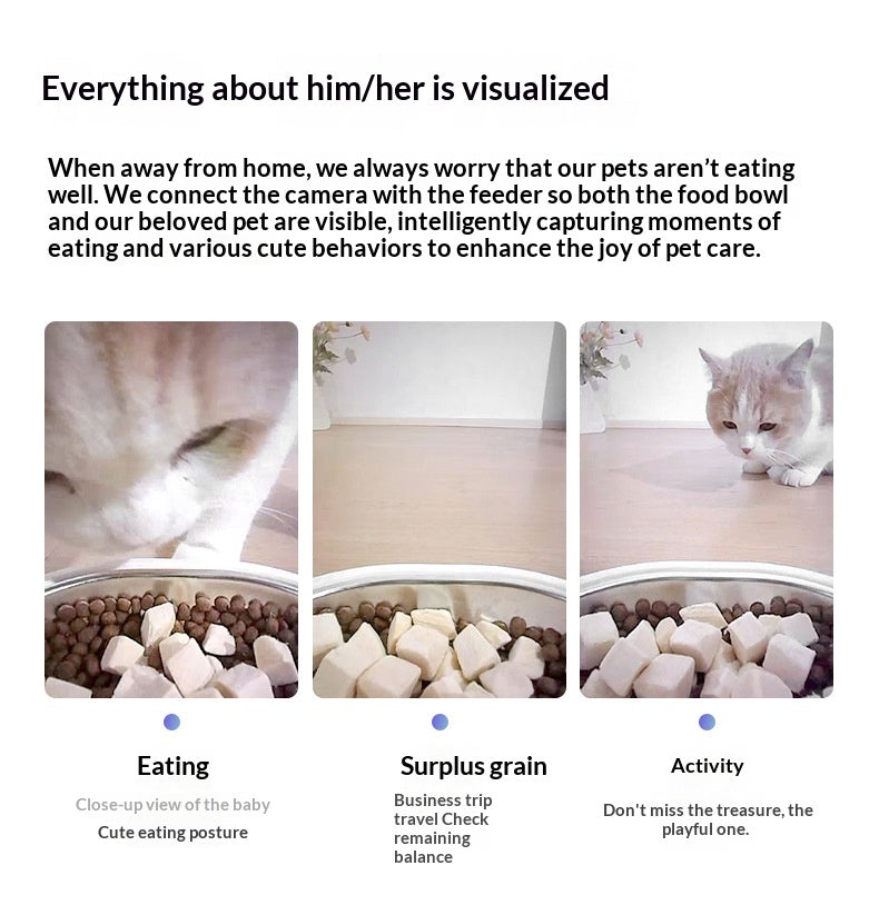 Comedero automático con cámara y app para perros y gatos – 4 L